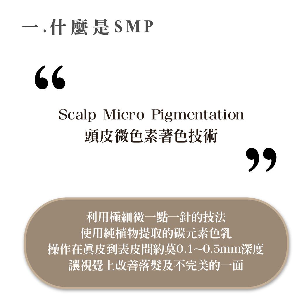 什麼是SMP仿真毛囊精雕術，利用極細微一點一針的技法，使用純植物提取的碳元素色乳操作在真皮到表皮間約莫0.1~0.5mm深度，讓視覺上改善落髮及不完美的一面